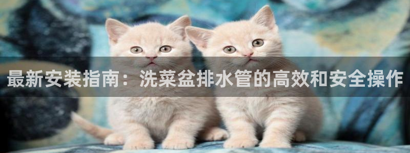 天辰娱乐跑的快