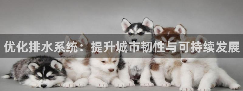 天辰娱乐 . 鱼刺
