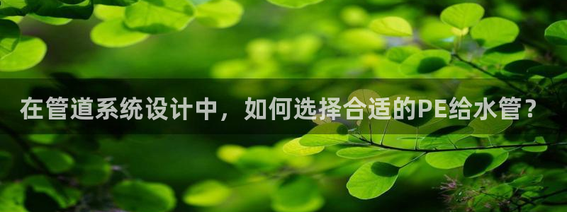 天辰娱乐地址