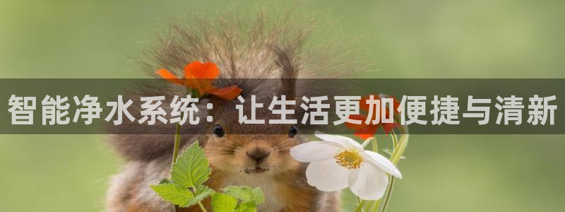 天辰娱乐扣钱
