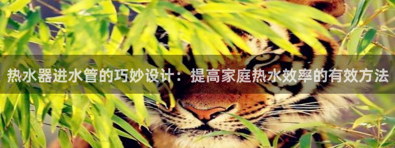 天辰娱乐84566