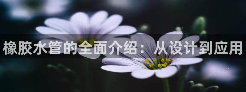 天辰彩票娱乐