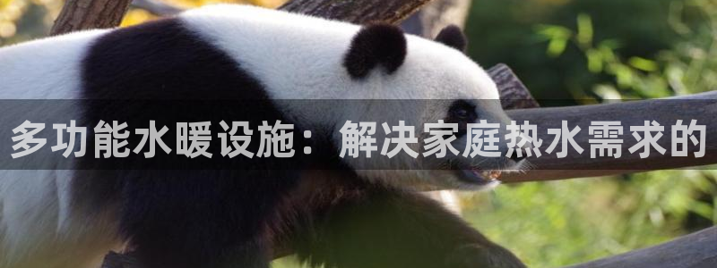 天辰娱乐娱乐平台