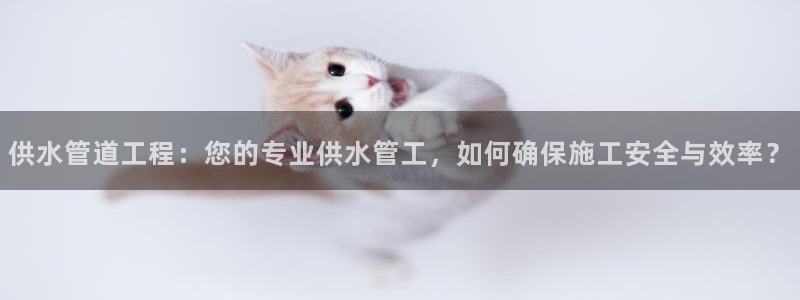 天辰娱乐解封