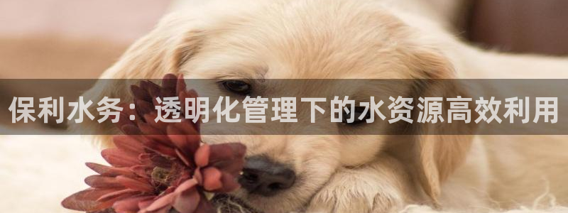 天辰娱乐 . 鱼刺