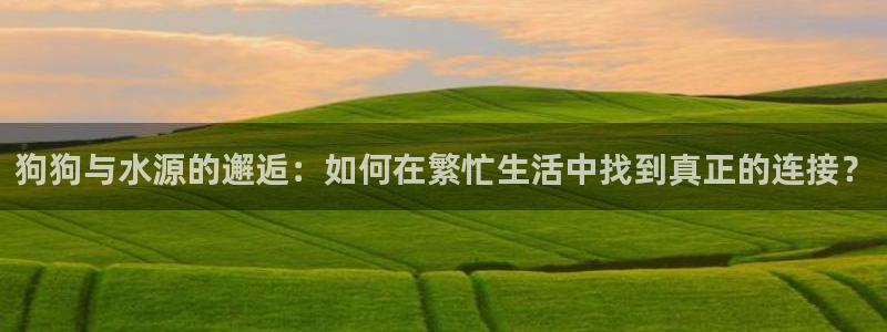 天辰娱乐官方登录入口