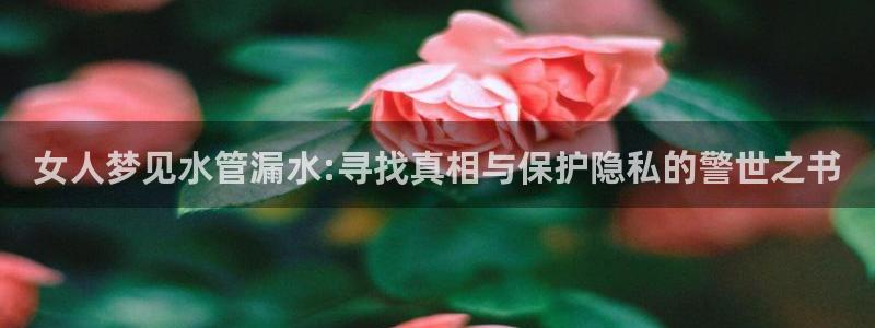 天辰娱乐彩票
