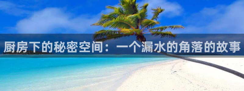 天辰娱乐海洋