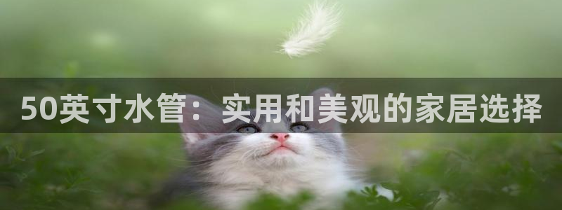 天辰娱乐游戏平台怎么样