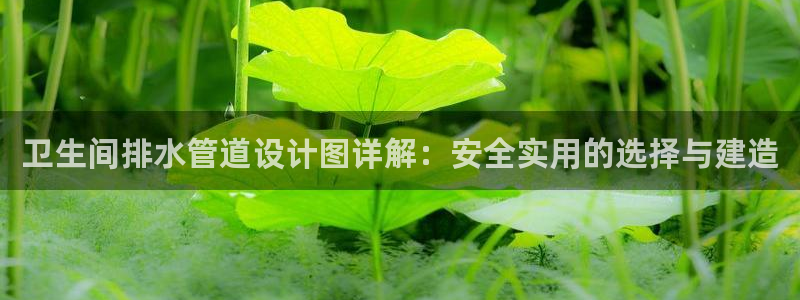 天辰辰娱乐代理