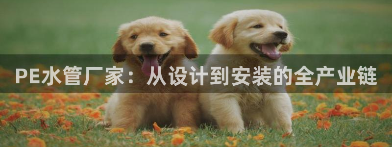 天辰娱乐登录测试